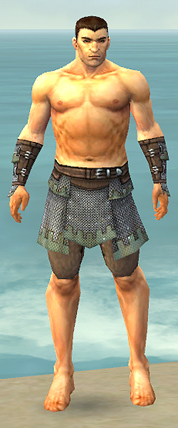File:Warrior Tyrian armor m gray front arms legs.jpg