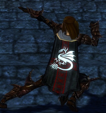 File:Guild Our Wolves Have A Dragons Touch cape.jpg