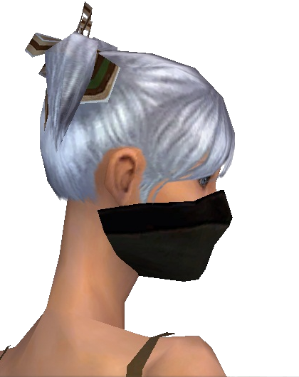 File:Ranger Norn Mask f gray right.png