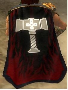 File:Guild Did Somebody Say Justice cape.jpg