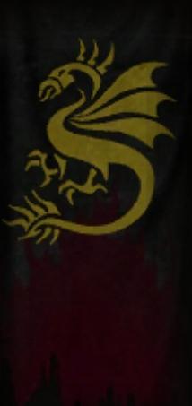 File:Guild Draco Mancers cape.jpg