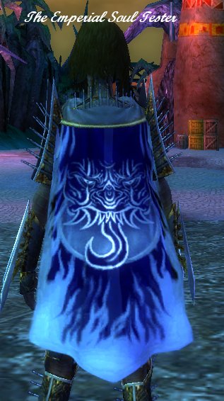 File:Guild The Imperial Soul Testers cape.jpg