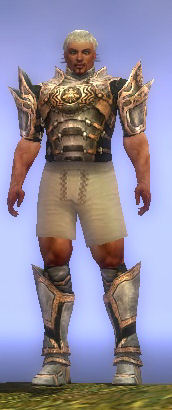 File:Warrior Elite Sunspear armor m gray front chest feet.jpg