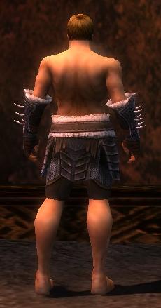 File:Warrior Norn armor m gray back arms legs.jpg