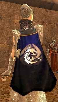File:Guild Acolytes Of Eve cape.jpg