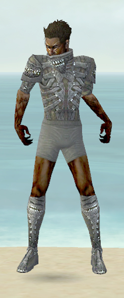 File:Necromancer Necrotic armor m gray front chest feet.jpg