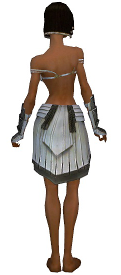 File:Paragon Ancient armor f gray back arms legs.png