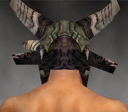 File:Warrior Elite Charr Hide armor m gray back head.jpg