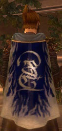 Guild Luxon Sovereign Realm cape.jpg