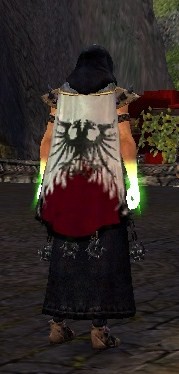 File:Guild Risen From The Ashes Of Dragons cape.jpg