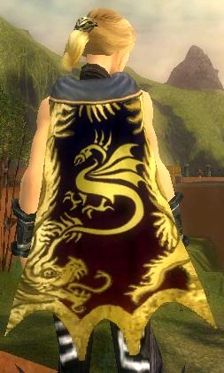 File:Guild Inadequately Equipped cape.jpg