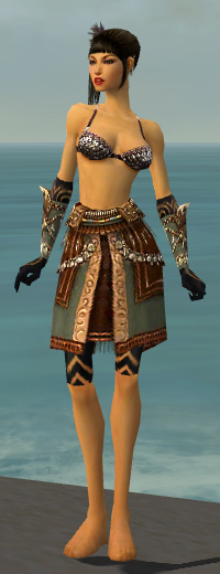 File:Ritualist Imperial armor f gray front arms legs.jpg