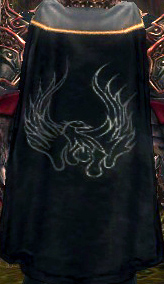 File:Guild Your Moms Name Here cape.jpg