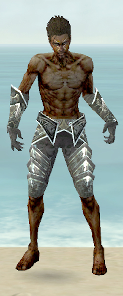 File:Necromancer Fanatic armor m gray front arms legs.jpg