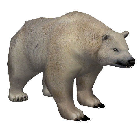 File:Polar Bear.jpg