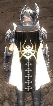 File:Guild Guardians Of The Lich Queen cape.jpg