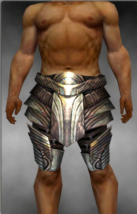 File:Warrior Stalwart Leggings armor m gray front.jpg
