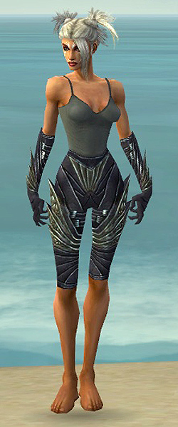 File:Necromancer Krytan armor f gray front arms legs.jpg