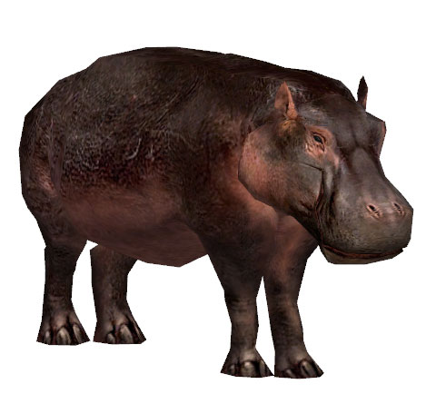 File:Pygmy Hippopotamus.jpg