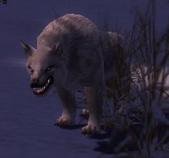 File:Alpha Tundra Wolf.jpg