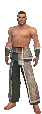 File:Monk Tyrian armor m gray front arms legs.jpg