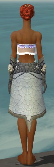 File:Elementalist Stoneforged armor f gray back arms legs.jpg