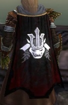 File:Guild Order Of The Paladin Slayers cape.jpg