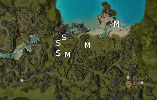 File:Watchtower Coast Boss map.jpg