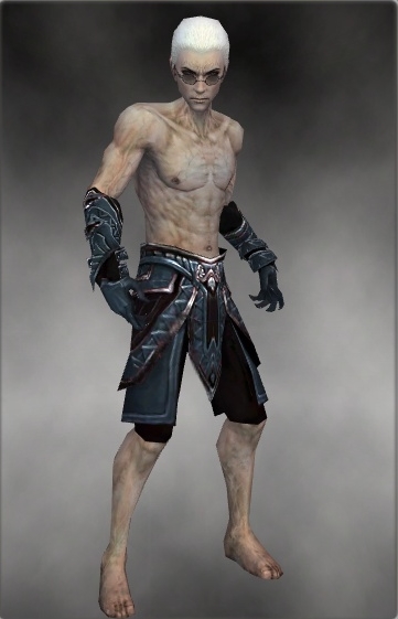 File:Necromancer Asuran armor m gray front arms legs.jpg