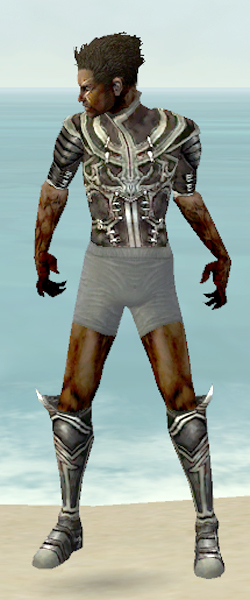 File:Necromancer Shing Jea armor m gray front chest feet.jpg