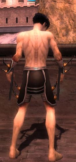File:Necromancer Ancient armor m gray back arms legs.jpg