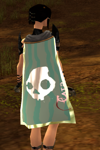 File:Guild Insane Obessions With textmod cape.png