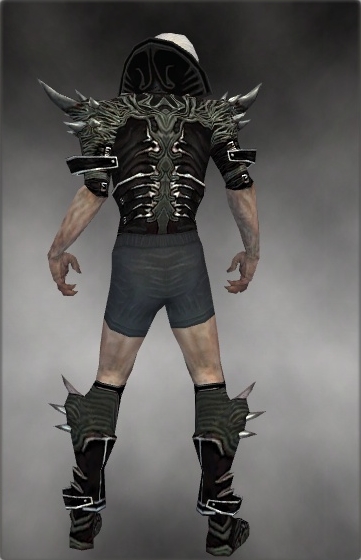 File:Necromancer Elite Luxon armor m gray back chest feet.jpg