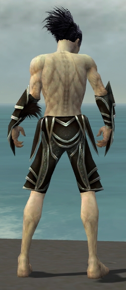 File:Necromancer Elite Sunspear armor m gray back arms legs.jpg