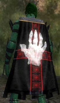 File:Guild Shadow Masters cape.jpg