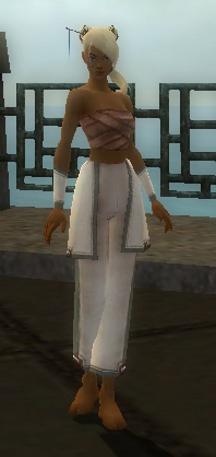 File:Monk Sacred armor f gray front arms legs.jpg