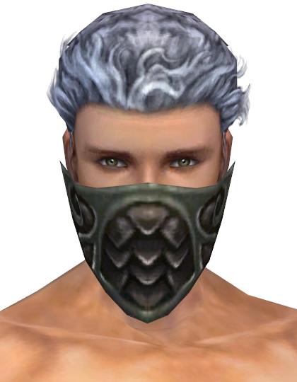 File:Ranger Elite Canthan Mask m gray front.png