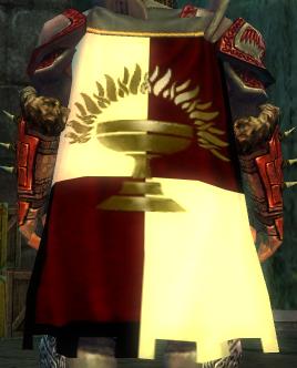 File:Guild Protecters Of The Throne cape.jpg