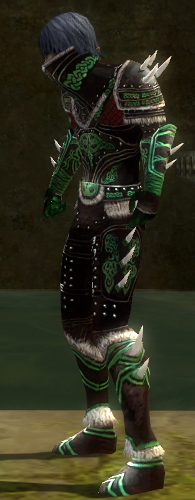 File:Necromancer Norn armor m dyed left.jpg