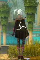 File:Guild The Legendary Arcadia Keepers cape.jpg