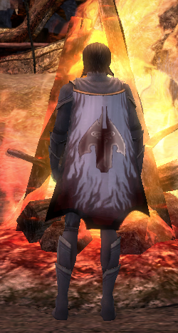 File:Guild The Persistant Fools cape.png