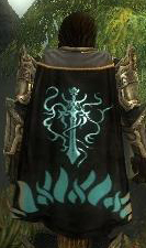 Guild The Celestial Knighthood cape.jpg