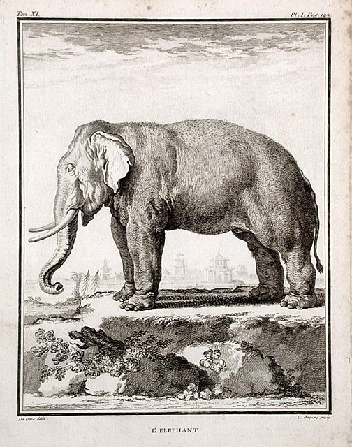 Elephant_De_Seve_18th_century