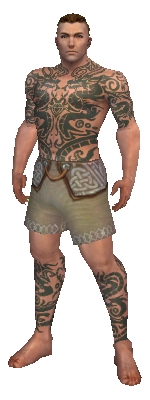 File:Monk Dragon armor m gray front chest feet.jpg