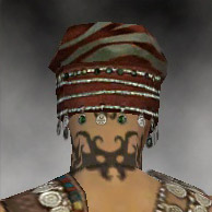 File:Ritualist Exotic armor m gray back head.jpg