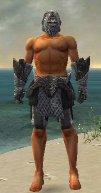 File:Warrior Elite Platemail armor m gray front arms legs.jpg