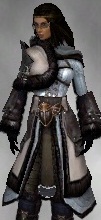 File:Screenshot Ranger Norn armor f dyed White.jpg
