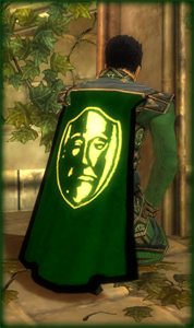 File:Guild Guardians Of The Stars cape.jpg