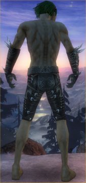 File:Necromancer Canthan armor m gray back arms legs.jpg