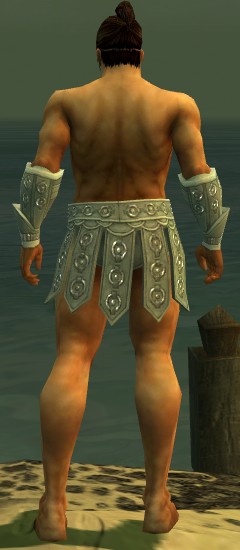 File:Warrior Ascalon armor m gray back arms legs.jpg